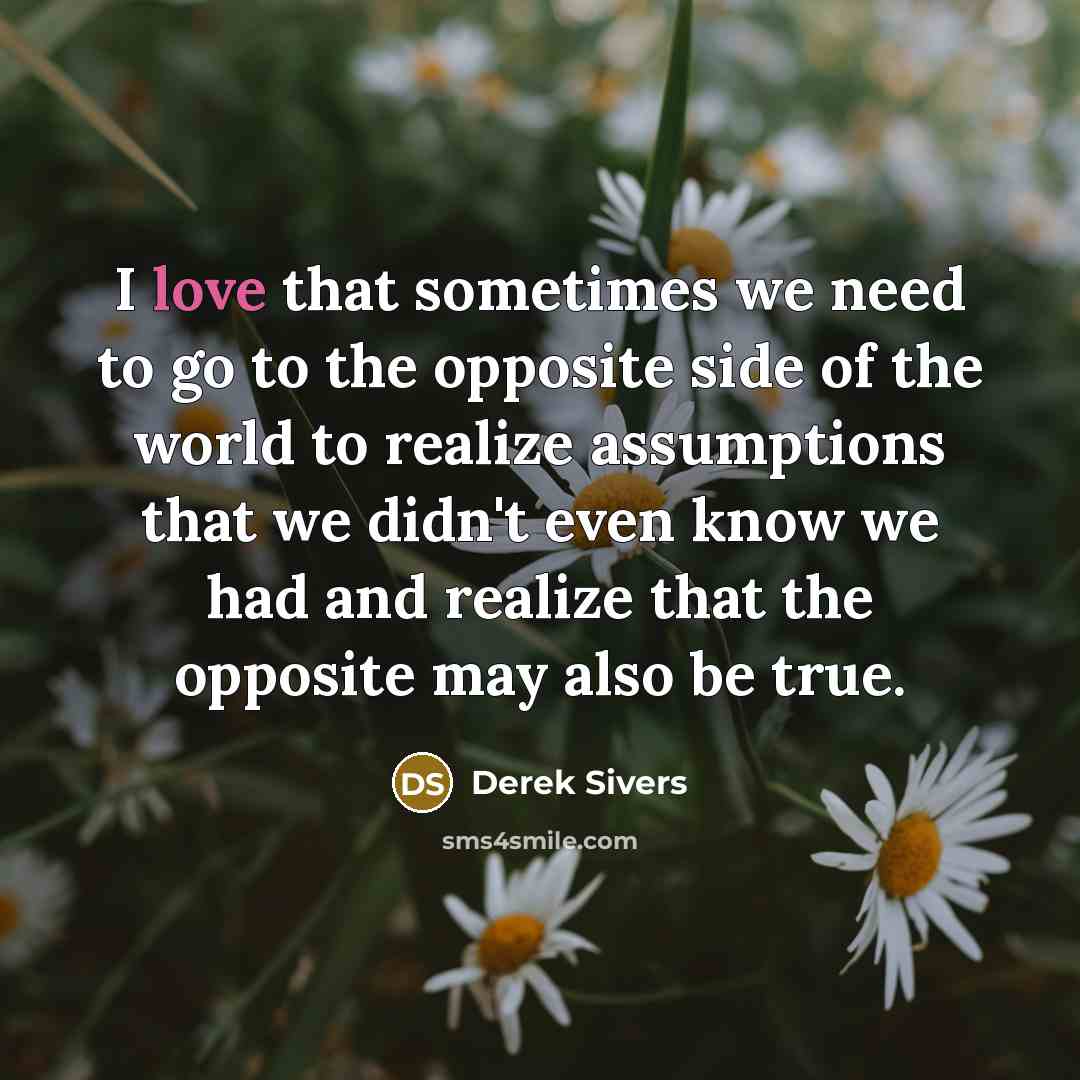 “I love that sometimes we need to go to the…” quote by Derek Sivers
