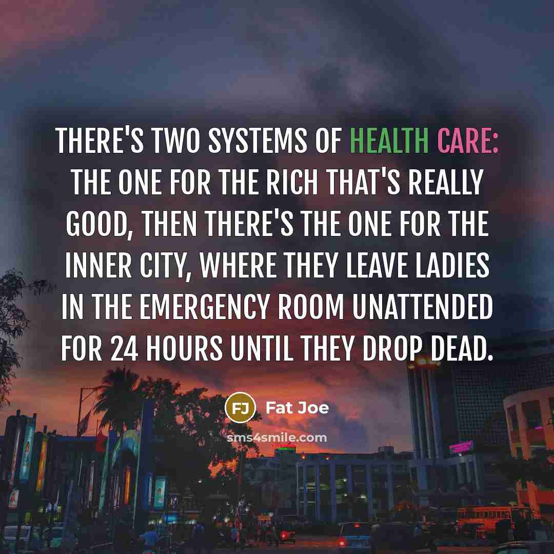 “There's two systems of health care: the one for the…” quote by Fat Joe