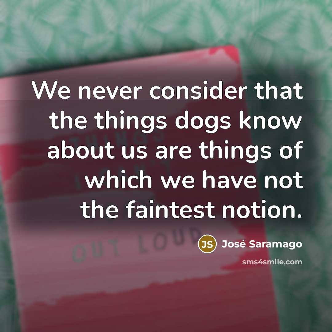 “We never consider that the things dogs know about us…” quote by Jose Saramago