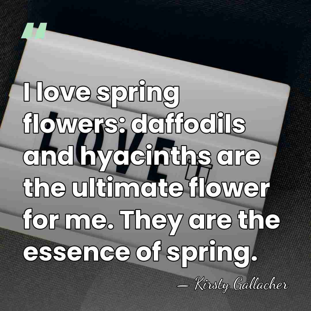 I love spring flowers: daffodils and hyacinths are the ultimate flower for&hellip; - Kirsty Gallacher