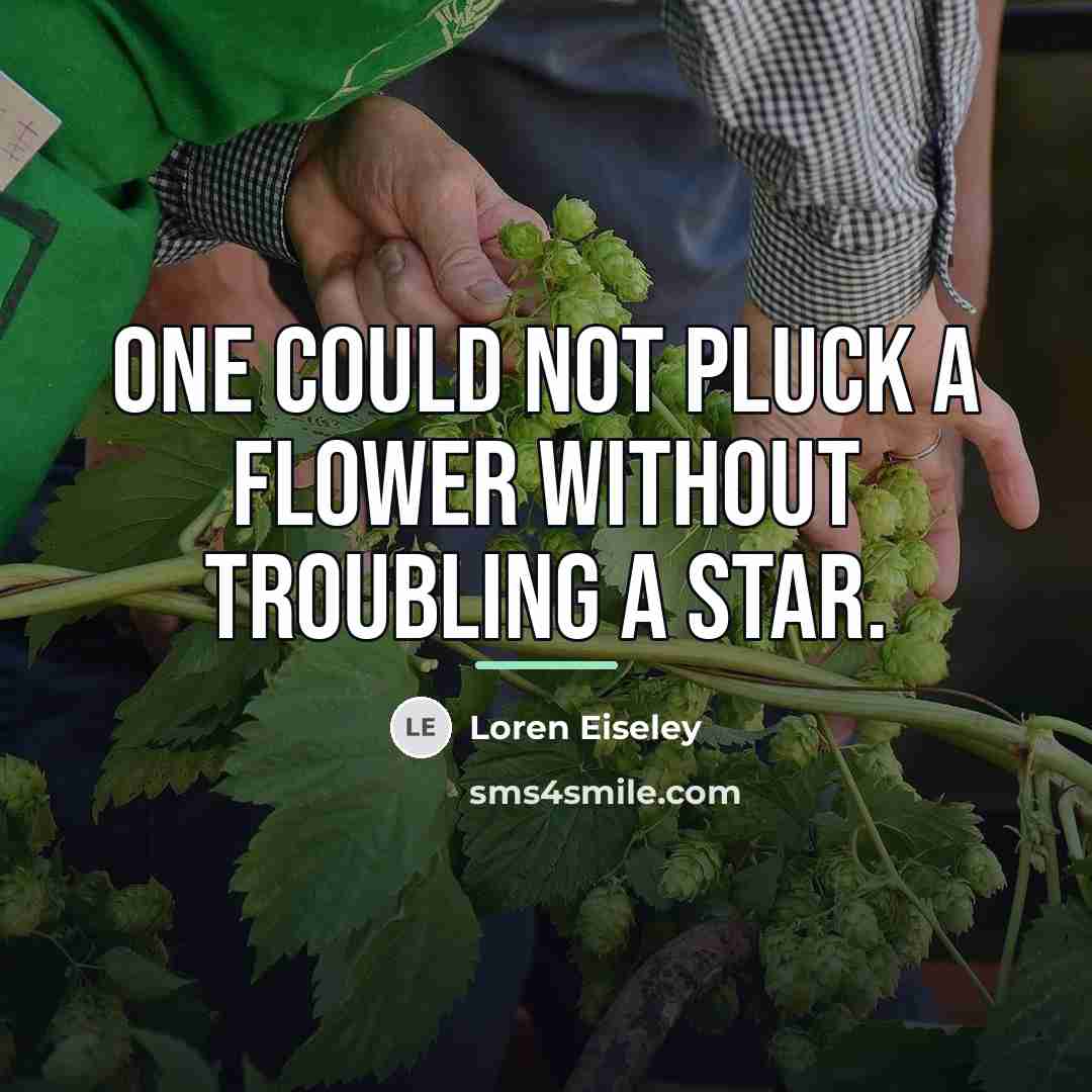“One could not pluck a flower without troubling a star.…” quote by Loren Eiseley