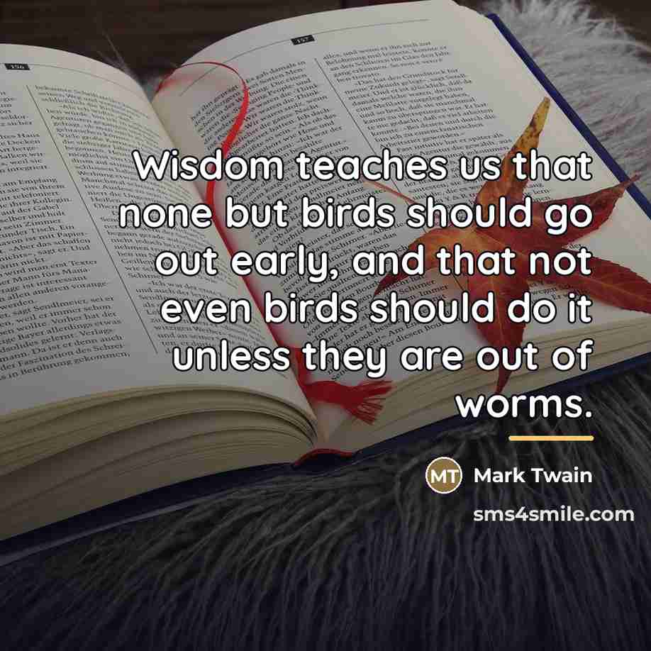 “Wisdom teaches us that none but birds should go out…” quote by Mark Twain
