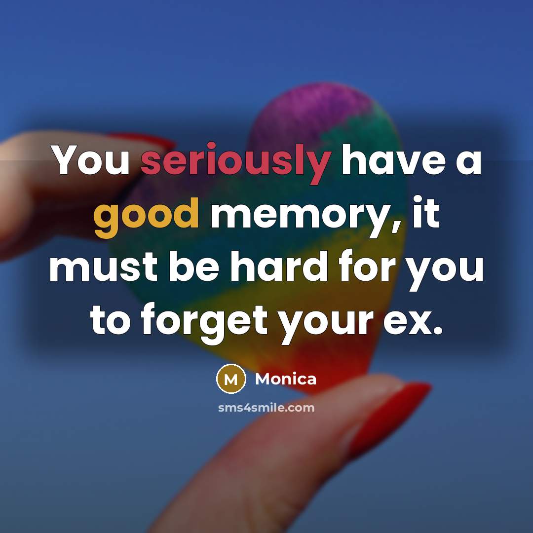 “You seriously have a good memory, it must be hard for you to forget your ex.” quote by Monica