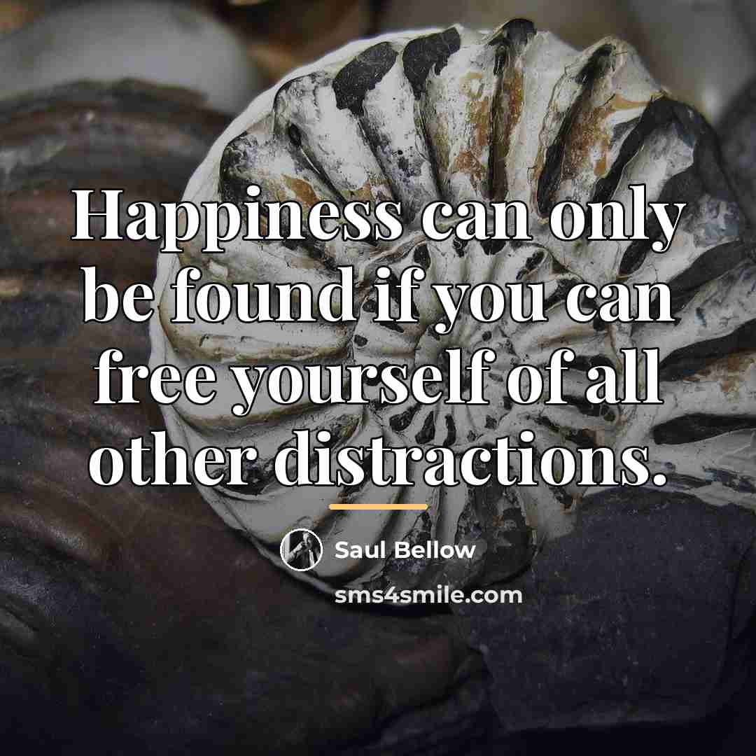 “Happiness can only be found if you can free yourself…” quote by Saul Bellow
