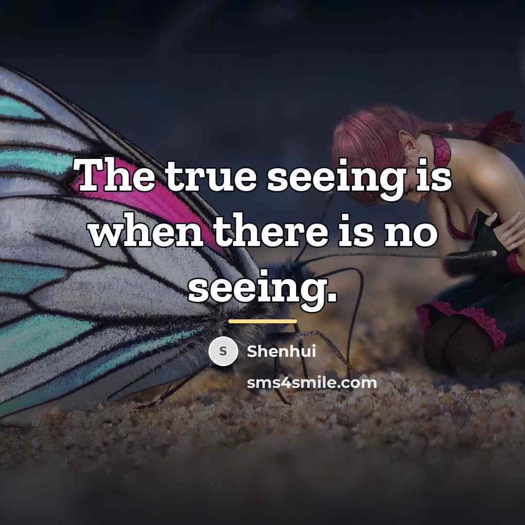 “The true seeing is when there is no seeing.…” quote by Shenhui