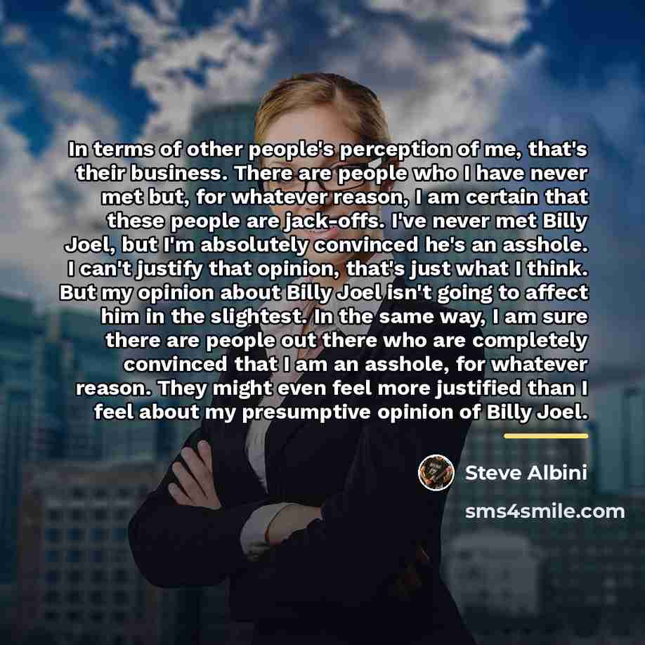 “In terms of other people's perception of me, that's their…” quote by Steve Albini