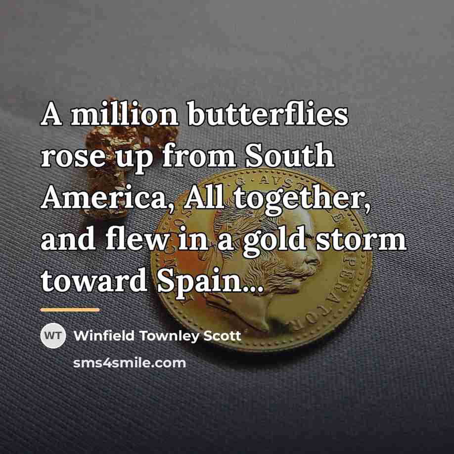 “A million butterflies rose up from South America, All together,…” quote by Winfield Townley Scott