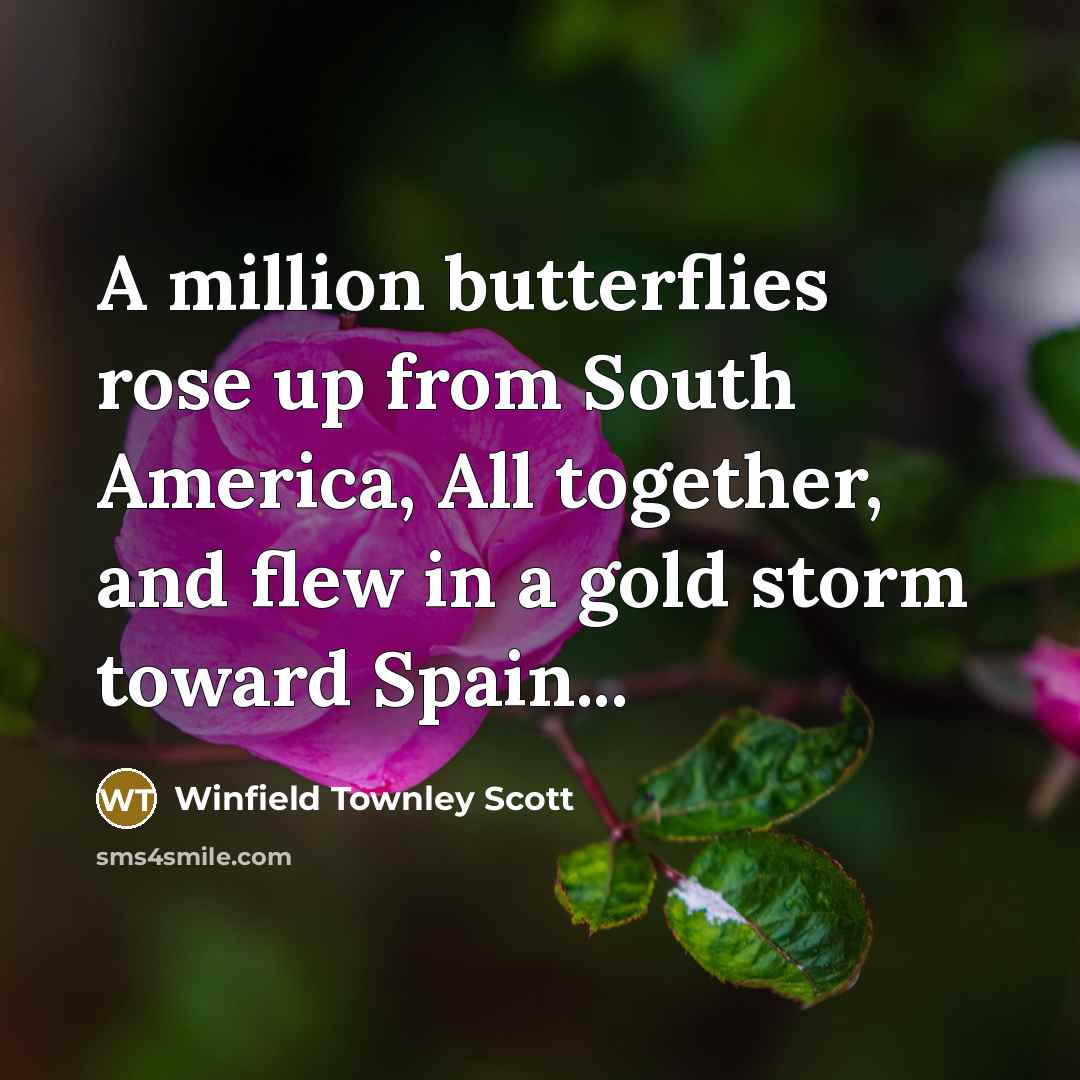“A million butterflies rose up from South America, All together, and flew in a gold storm toward Spain...” quote by Winfield Townley Scott