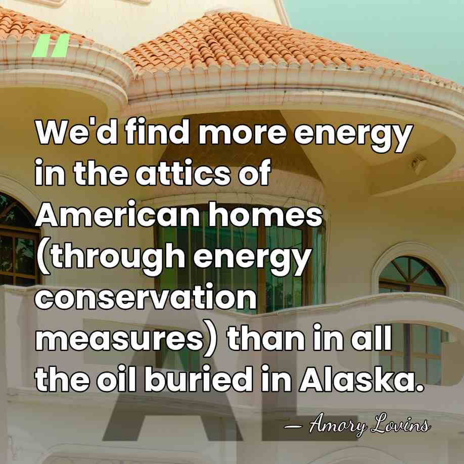 We'd find more energy in the attics of American homes (through energy&hellip; - Amory Lovins