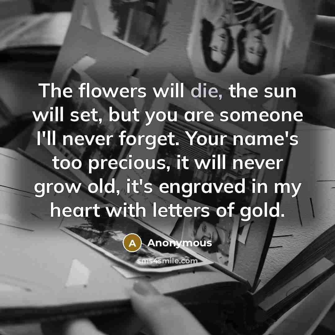 “The flowers will die, the sun will set, but you…” quote by Anonymous