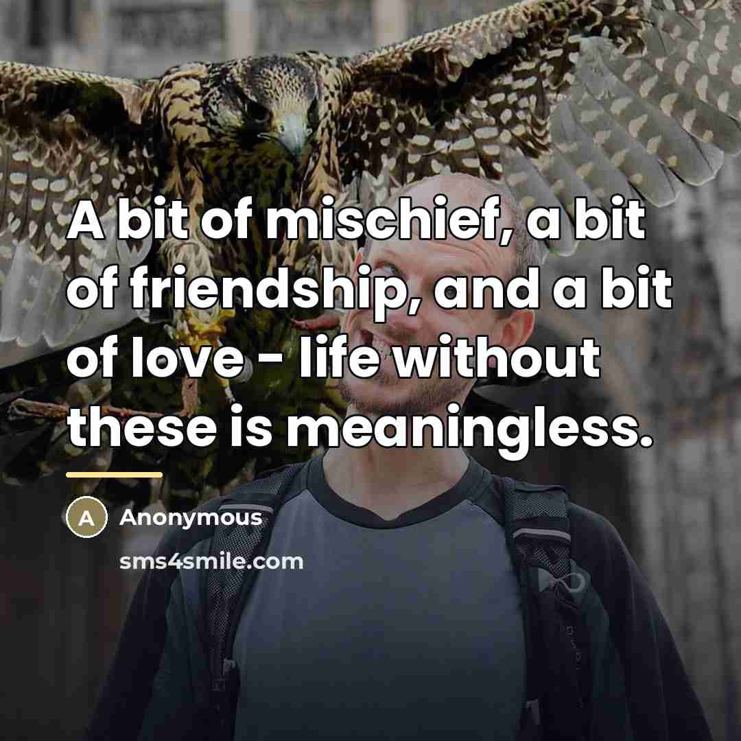 “A bit of mischief, a bit of friendship, and a…” quote by Anonymous