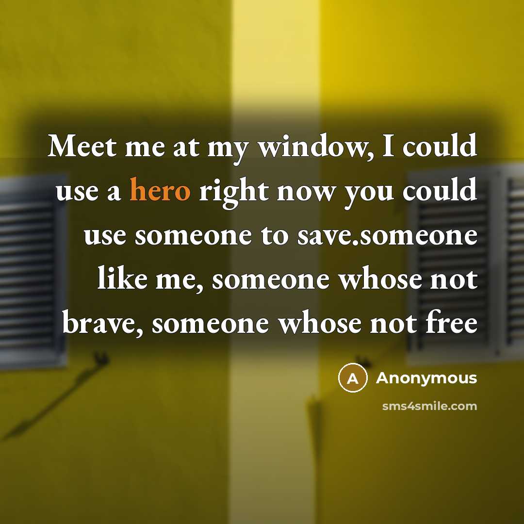 “Meet me at my window, I could use a hero right now you could use someone to save.someone like me, someone whose not brave, someone whose not free” quote by Anonymous