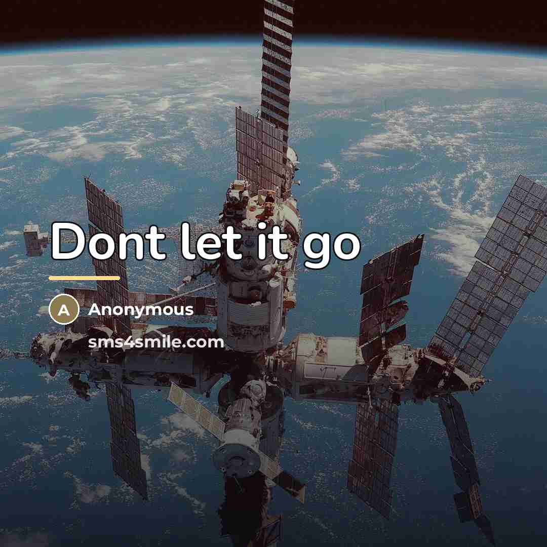 “Dont let it go…” quote by Anonymous