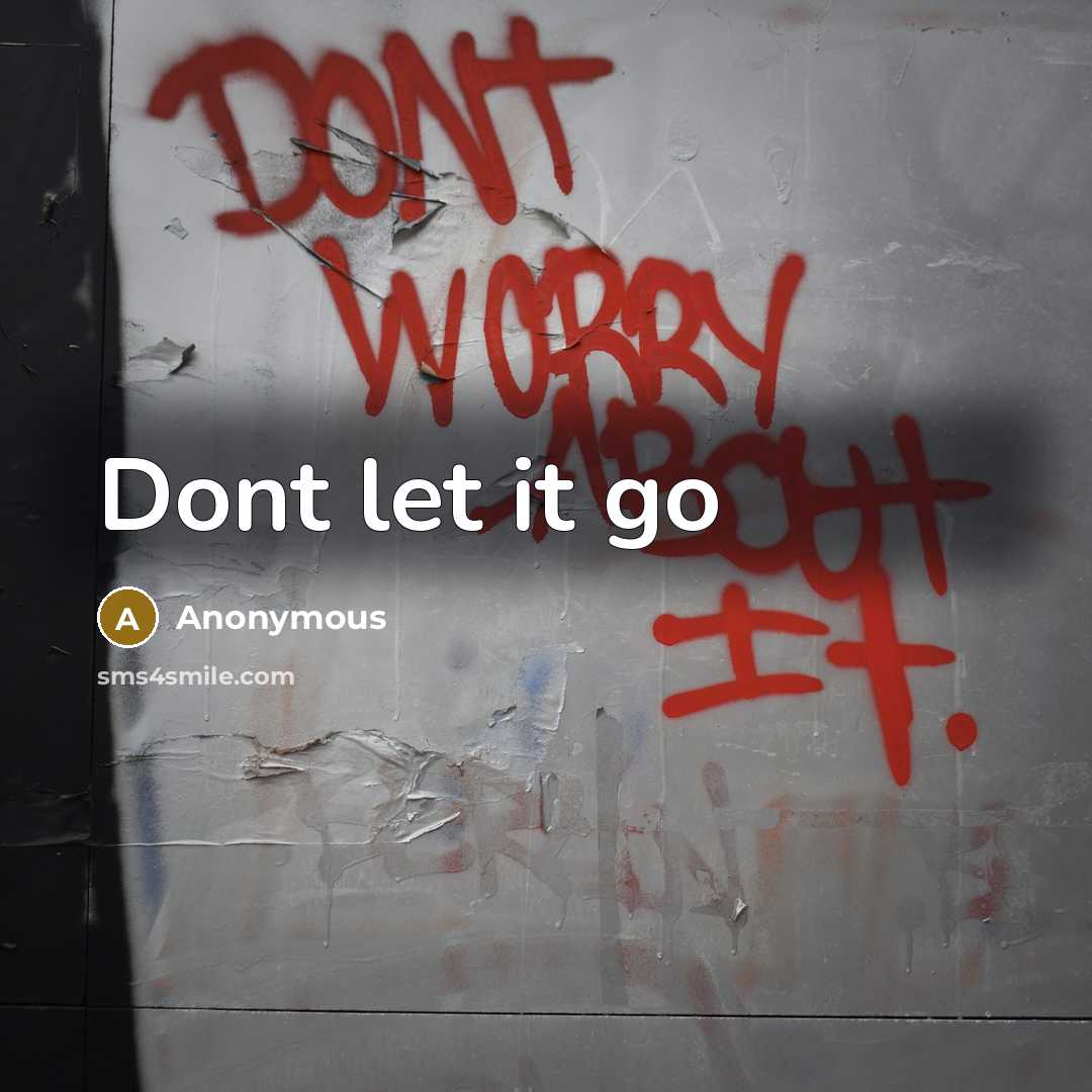 “Dont let it go” quote by Anonymous