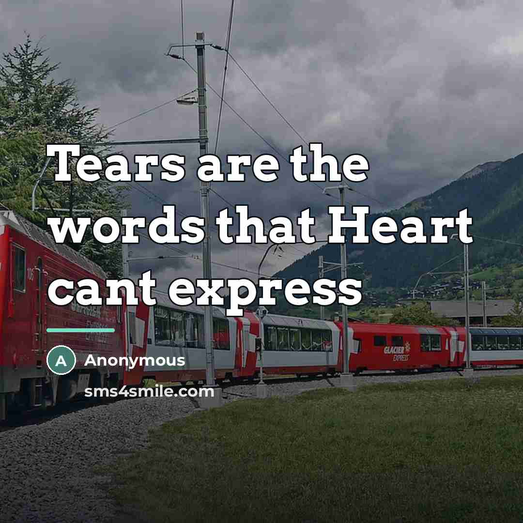 “Tears are the words that Heart cant express…” quote by Anonymous