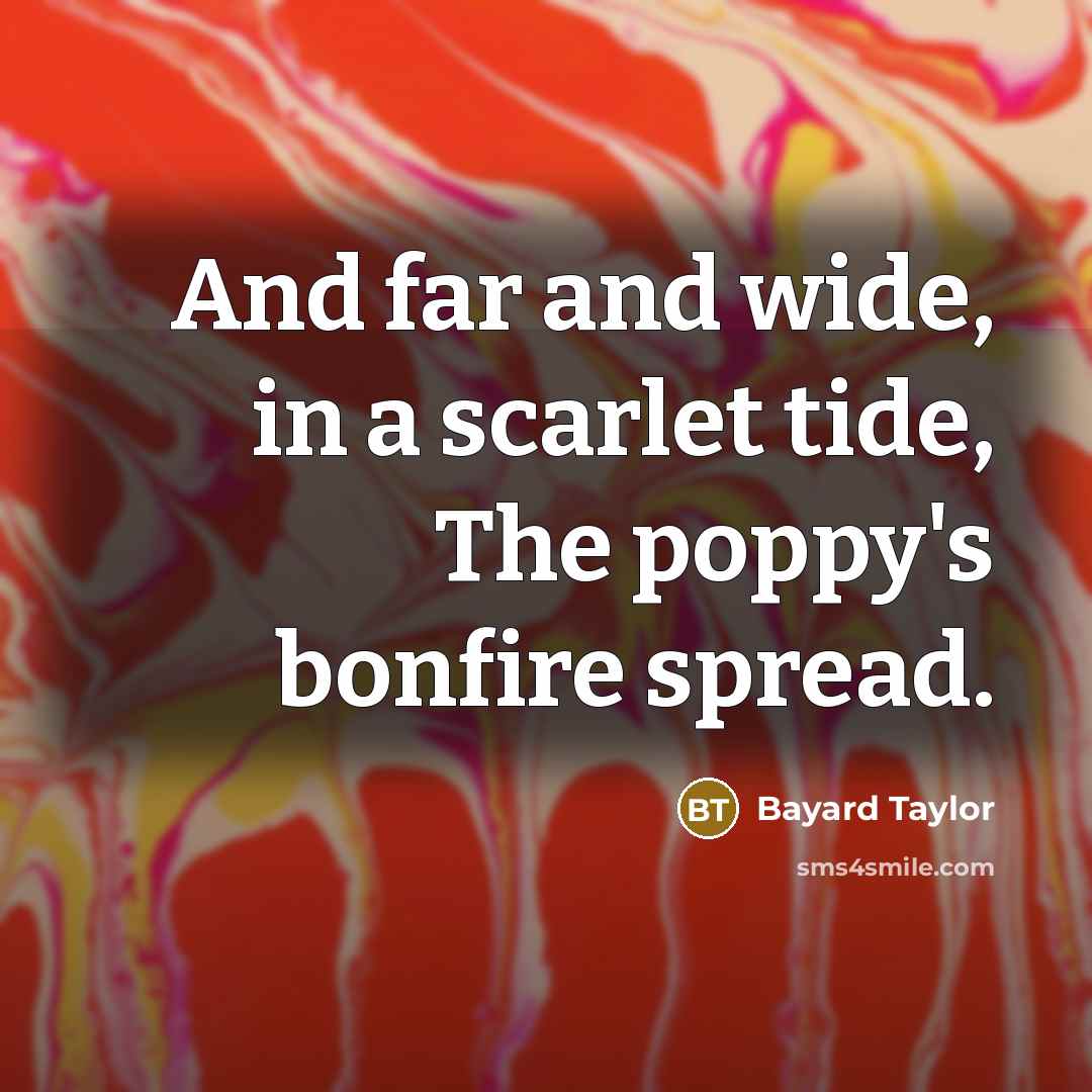 “And far and wide, in a scarlet tide, The poppy's…” quote by Bayard Taylor