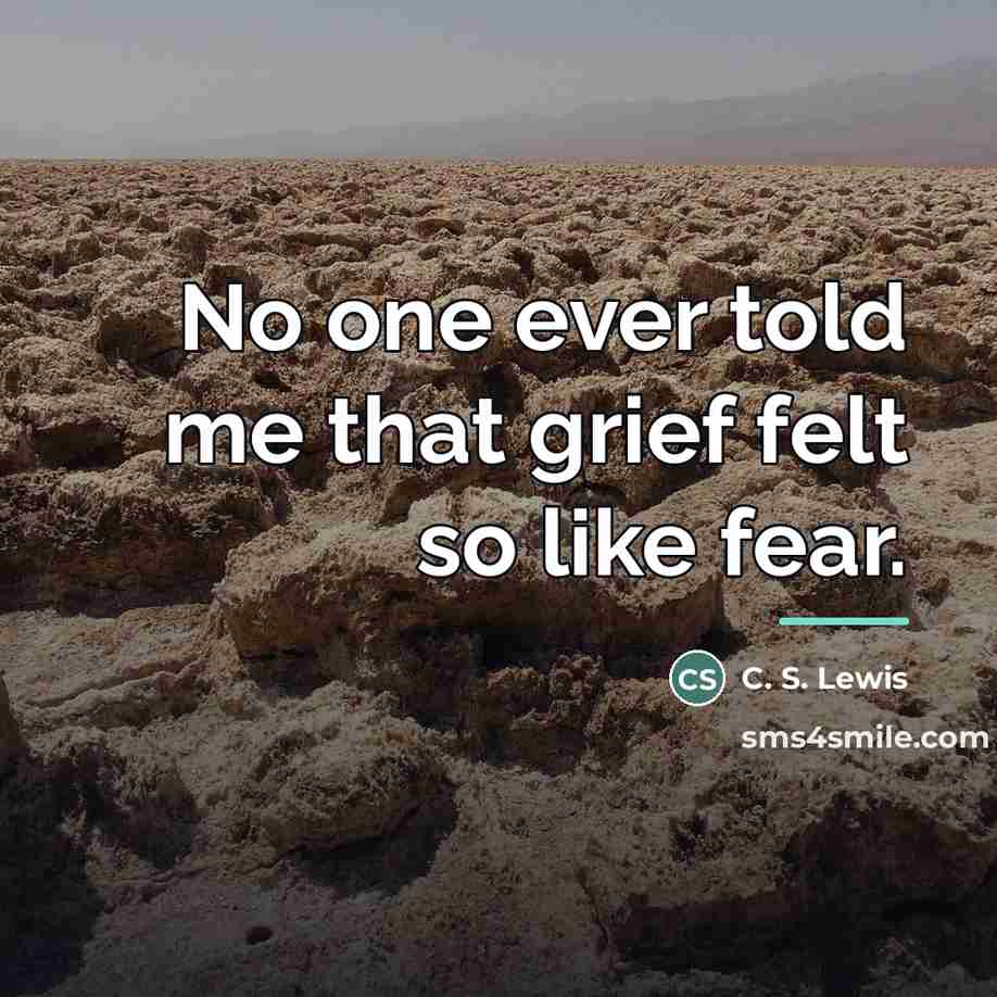 “No one ever told me that grief felt so like…” quote by C. S. Lewis