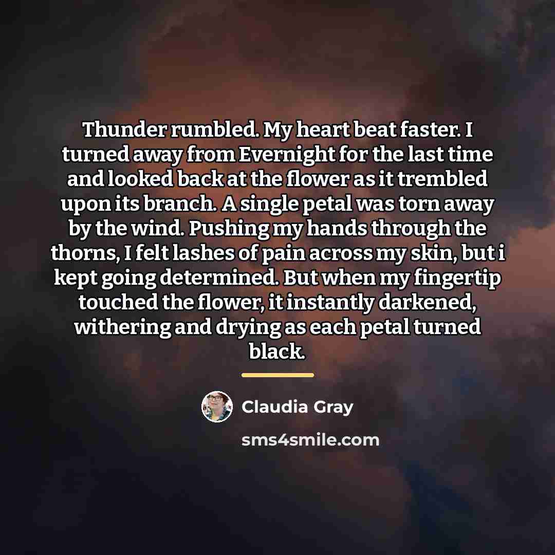 “Thunder rumbled. My heart beat faster. I turned away from…” quote by Claudia Gray
