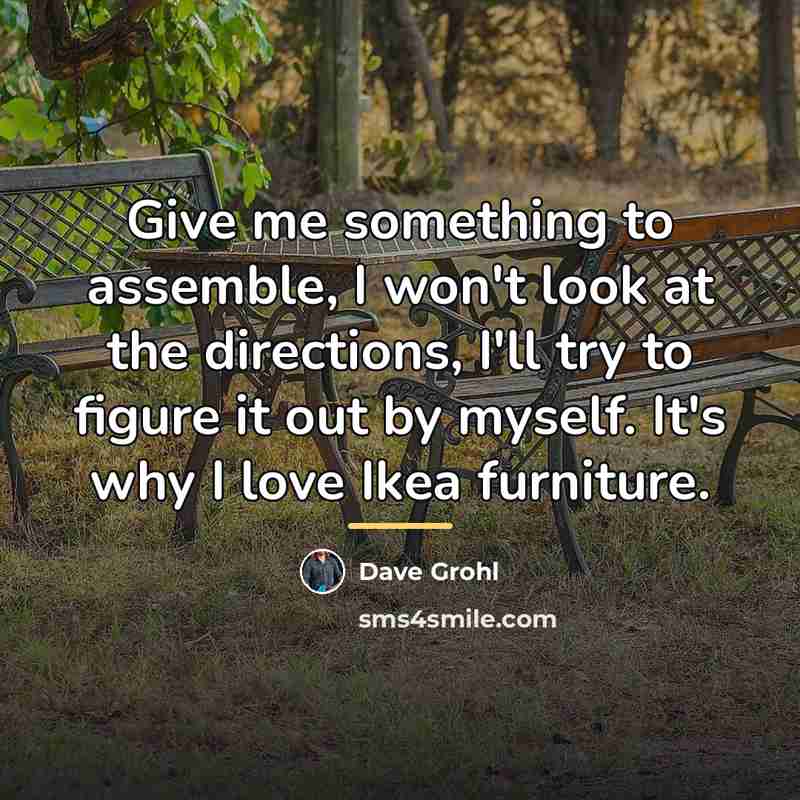 “Give me something to assemble, I won't look at the…” quote by Dave Grohl