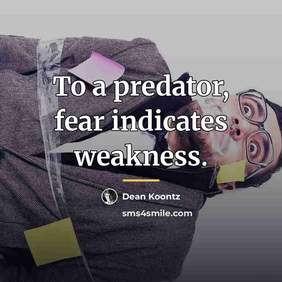 “To a predator, fear indicates weakness.…” quote by Dean Koontz