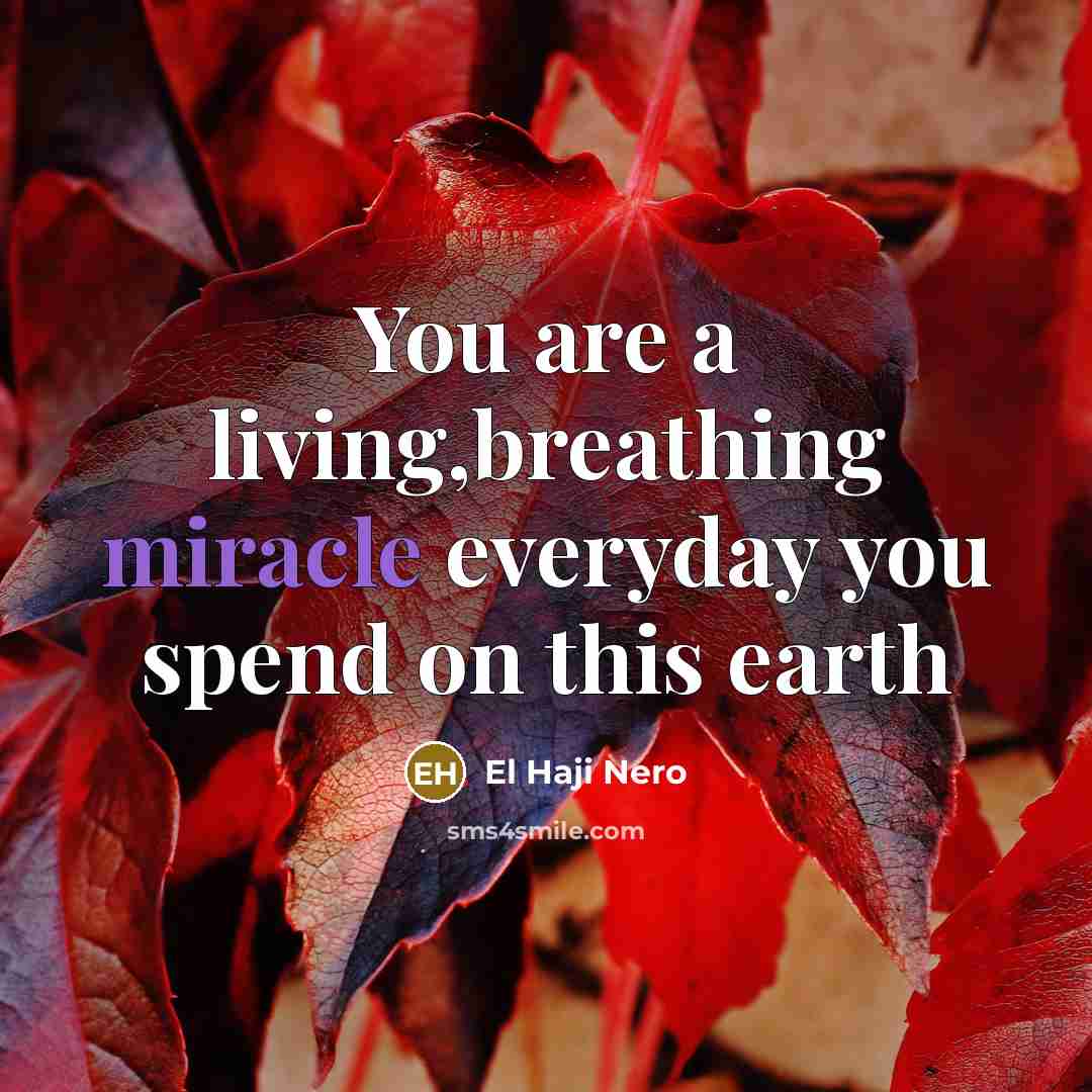 “You are a living,breathing miracle everyday you spend on this earth” quote by El Haji Nero