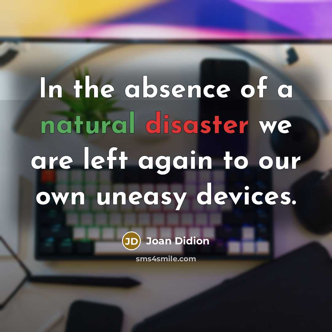 “In the absence of a natural disaster we are left…” quote by Joan Didion