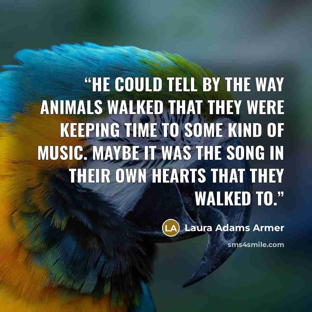 “He could tell by the way animals walked that they were keeping time to some kind of music. Maybe it was the song in their own hearts that they walked to.” quote by Laura Adams Armer