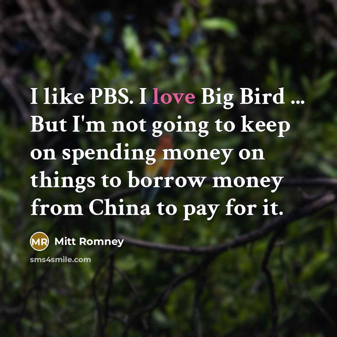“I like PBS. I love Big Bird ... But I'm…” quote by Mitt Romney