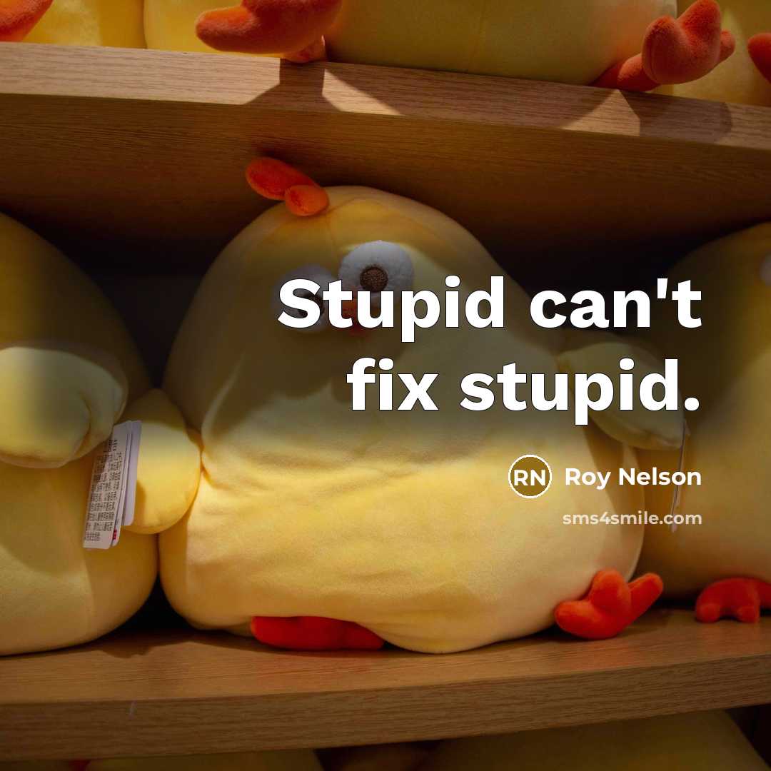 “Stupid can't fix stupid.…” quote by Roy Nelson
