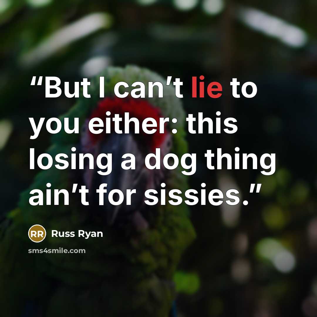 “But I can’t lie to you either: this losing a dog thing ain’t for sissies.” quote by Russ Ryan