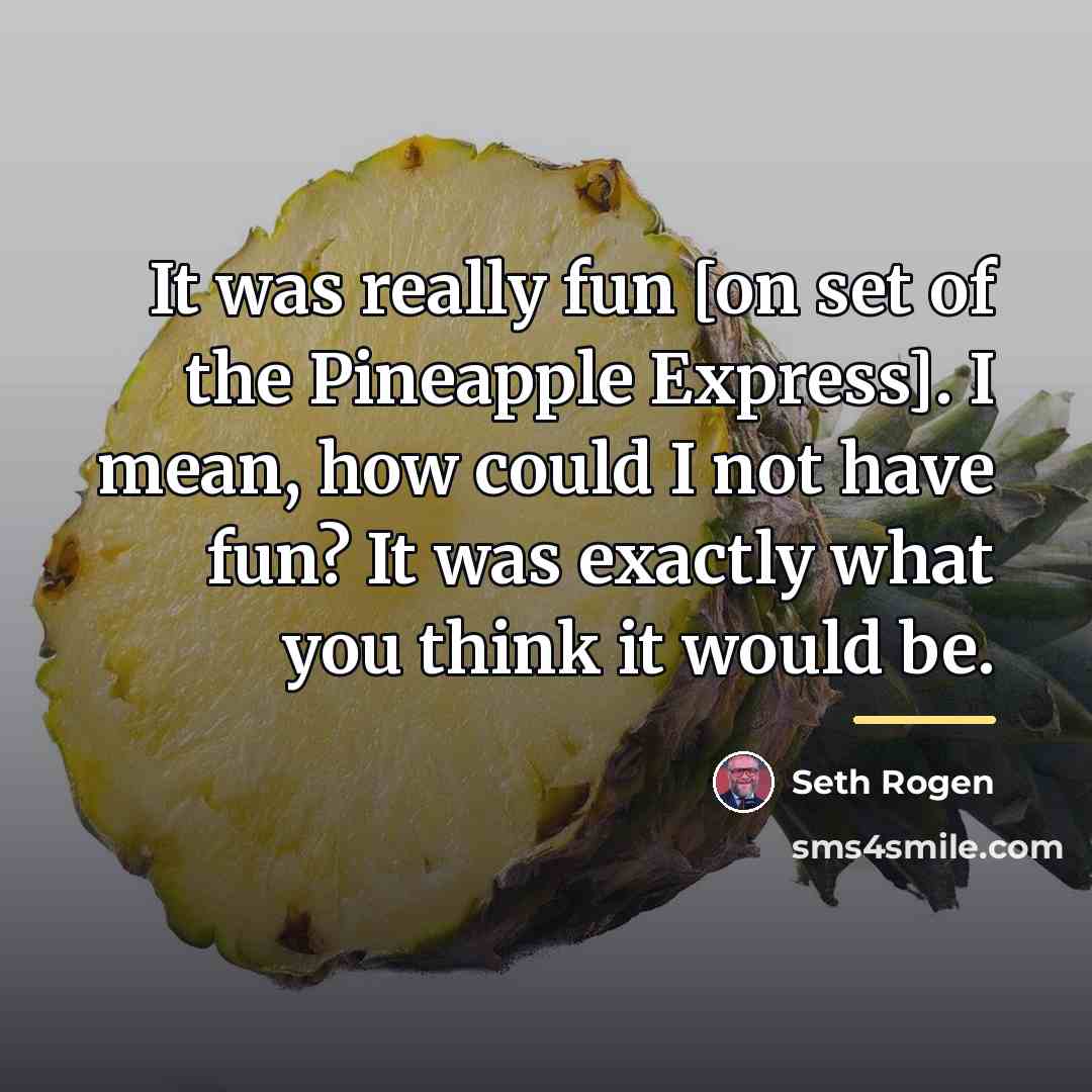 “It was really fun [on set of the Pineapple Express].…” quote by Seth Rogen
