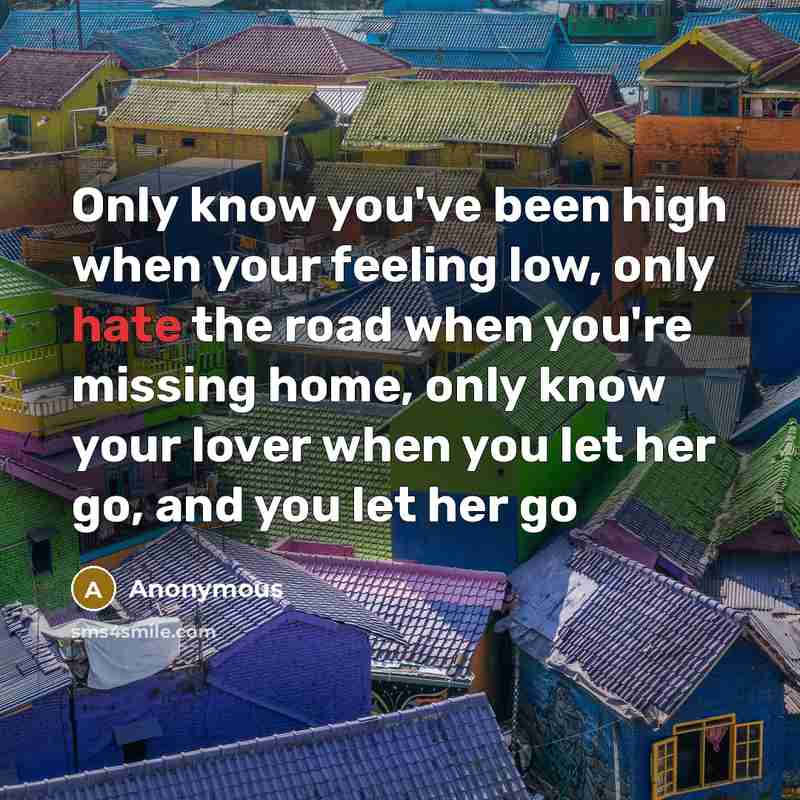 “Only know you've been high when your feeling low, only hate the road when you're missing home, only know your lover when you let her go, and you let her go” quote by Anonymous