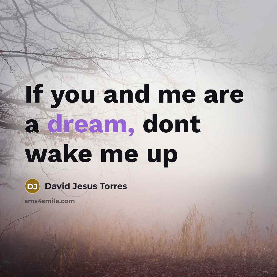“If you and me are a dream, dont wake me…” quote by David Jesus Torres