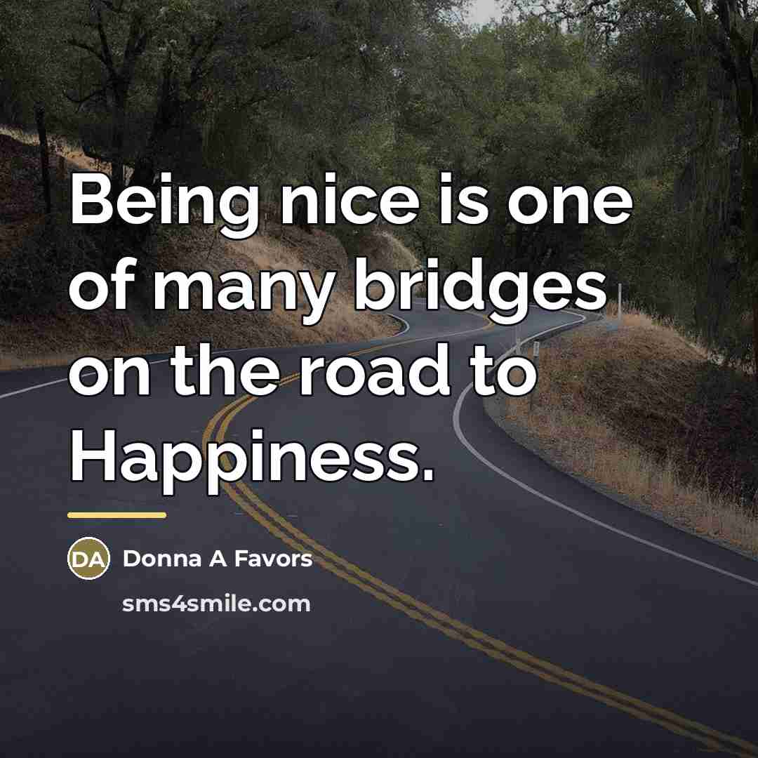 “Being nice is one of many bridges on the road…” quote by Donna A Favors
