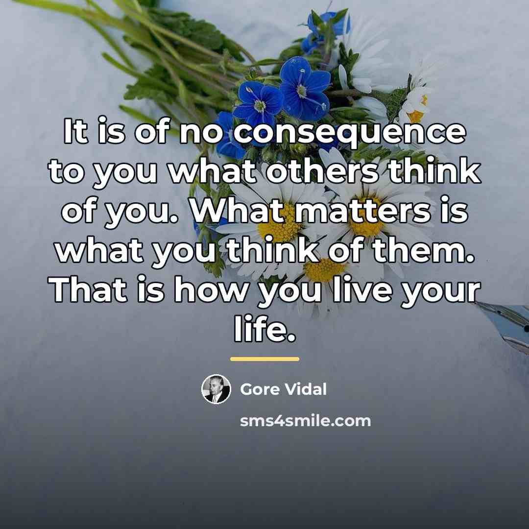 “It is of no consequence to you what others think…” quote by Gore Vidal