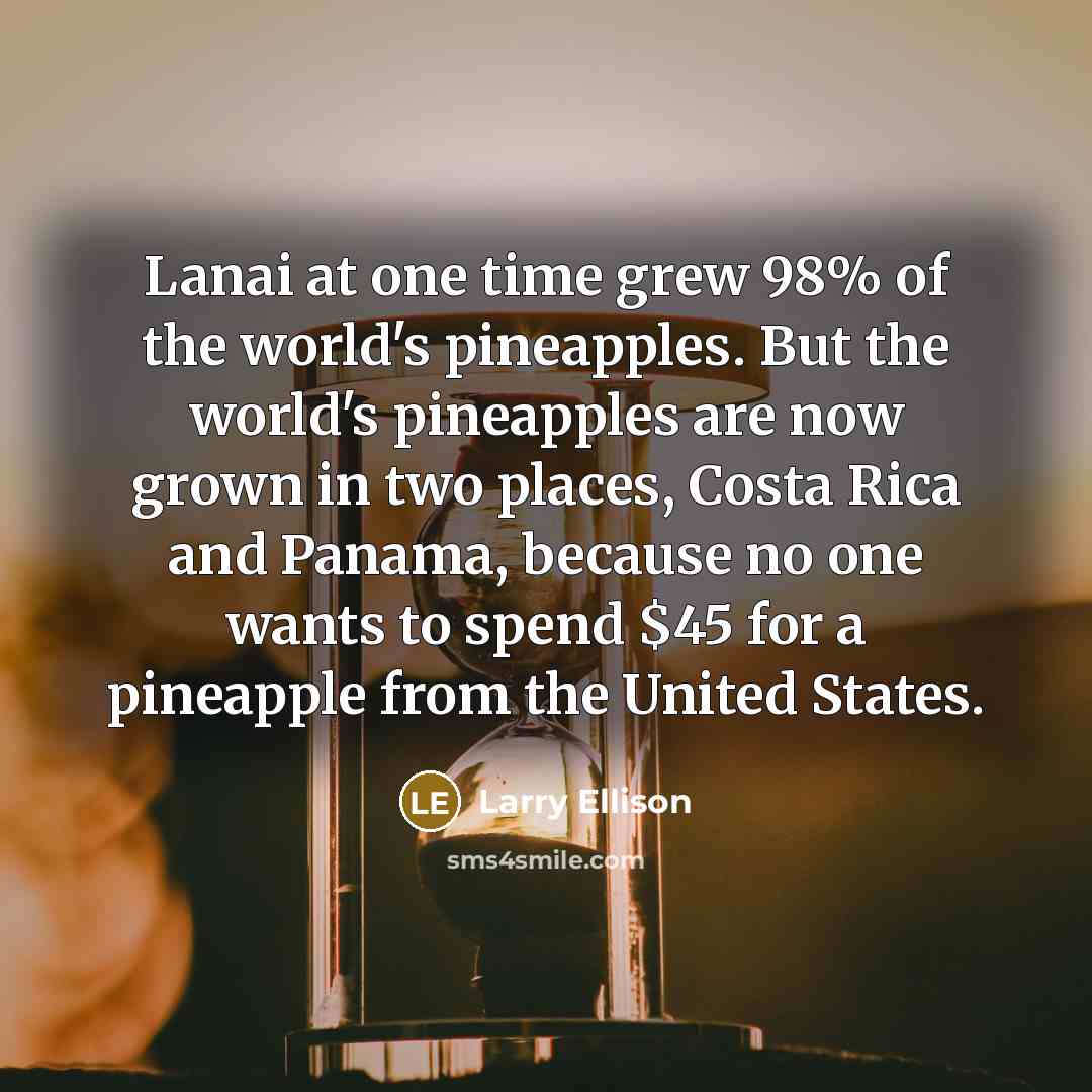 “Lanai at one time grew 98% of the world's pineapples.…” quote by Larry Ellison