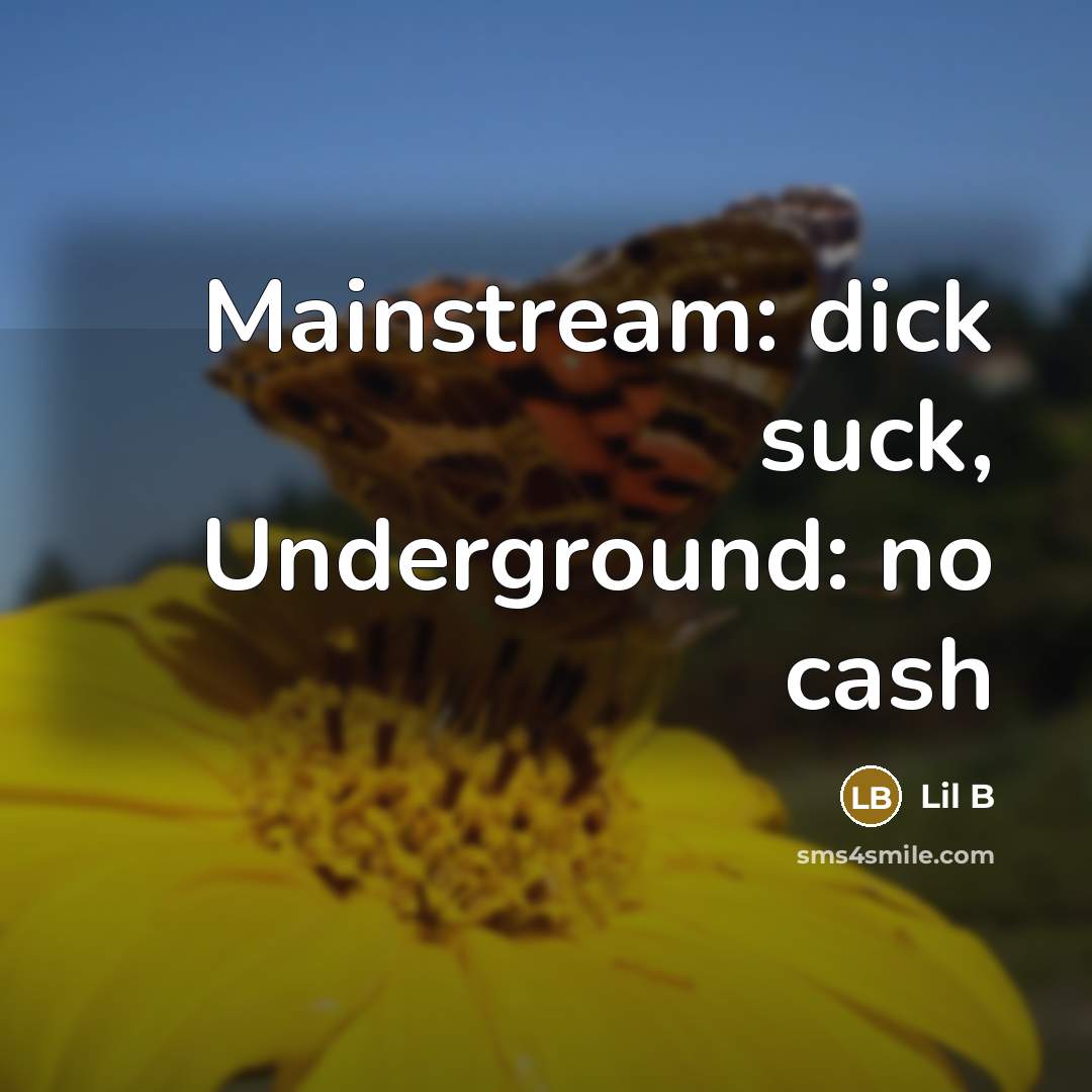 “Mainstream: dick suck, Underground: no cash…” quote by Lil B