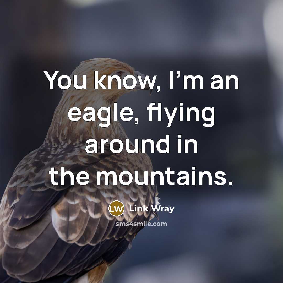 “You know, I'm an eagle, flying around in the mountains.” quote by Link Wray