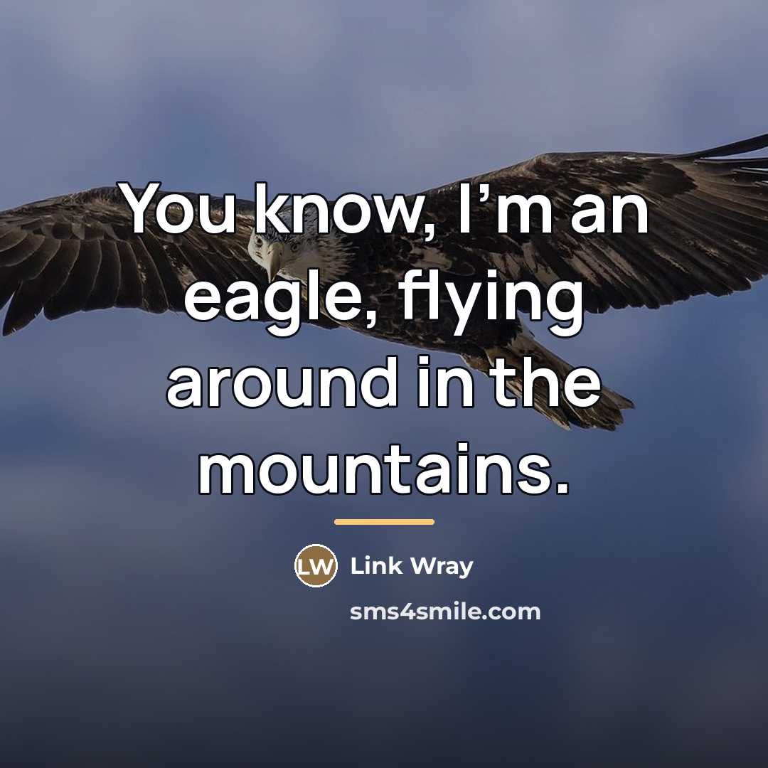 “You know, I'm an eagle, flying around in the mountains.…” quote by Link Wray