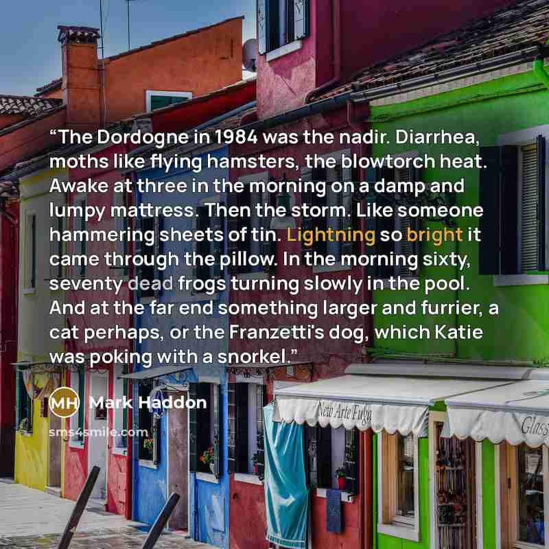 “The Dordogne in 1984 was the nadir. Diarrhea, moths like flying hamsters, the blowtorch heat. Awake at three in the morning on a damp and lumpy mattress. Then the storm. Like someone hammering sheets of tin. Lightning so bright it came through the pillow. In the morning sixty, seventy dead frogs…” quote by Mark Haddon