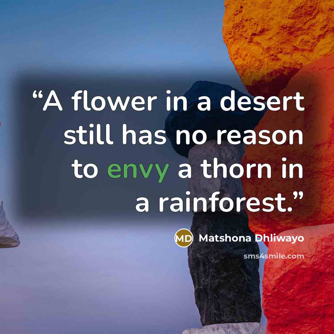 “A flower in a desert still has no reason to envy a thorn in a rainforest.” quote by Matshona Dhliwayo