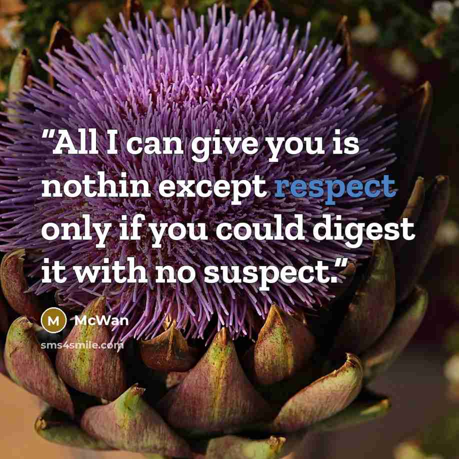 “All I can give you is nothin except respect only if you could digest it with no suspect.” quote by McWan