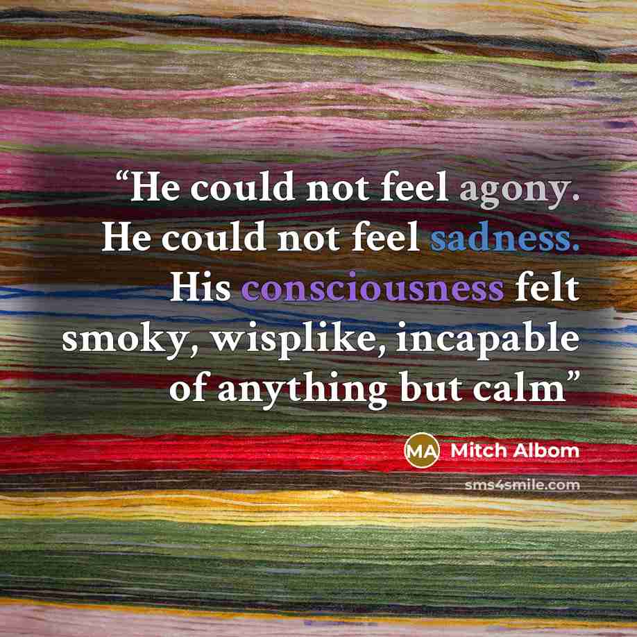 “He could not feel agony. He could not feel sadness. His consciousness felt smoky, wisplike, incapable of anything but calm” quote by Mitch Albom