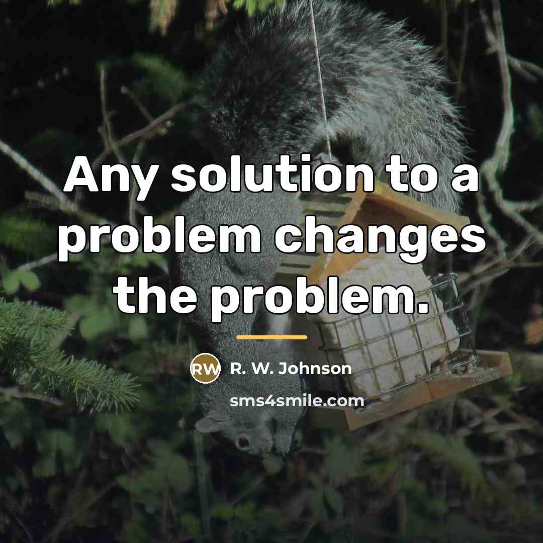 “Any solution to a problem changes the problem.…” quote by R. W. Johnson