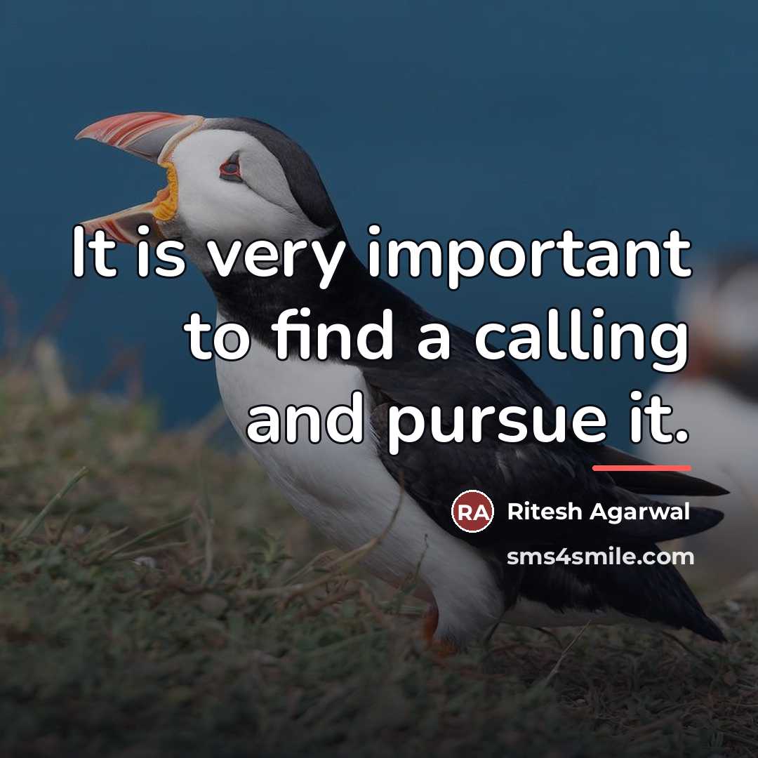 “It is very important to find a calling and pursue…” quote by Ritesh Agarwal
