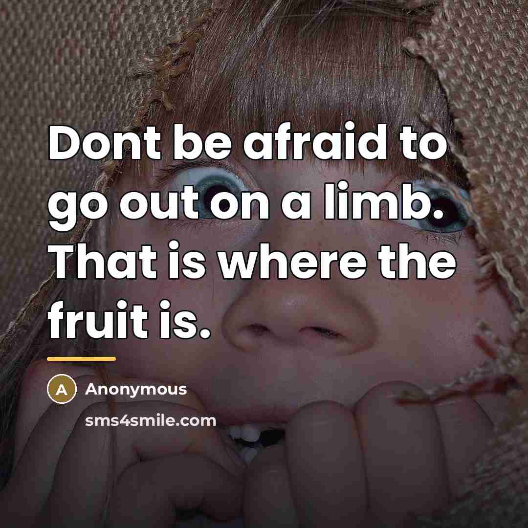 “Dont be afraid to go out on a limb. That…” quote by Anonymous