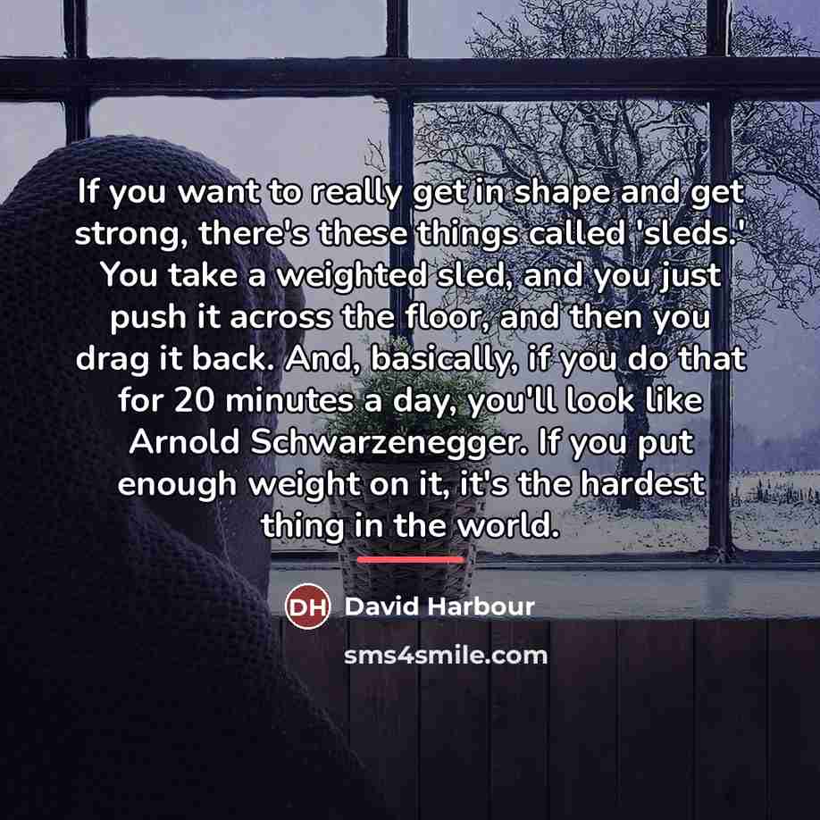 “If you want to really get in shape and get…” quote by David Harbour
