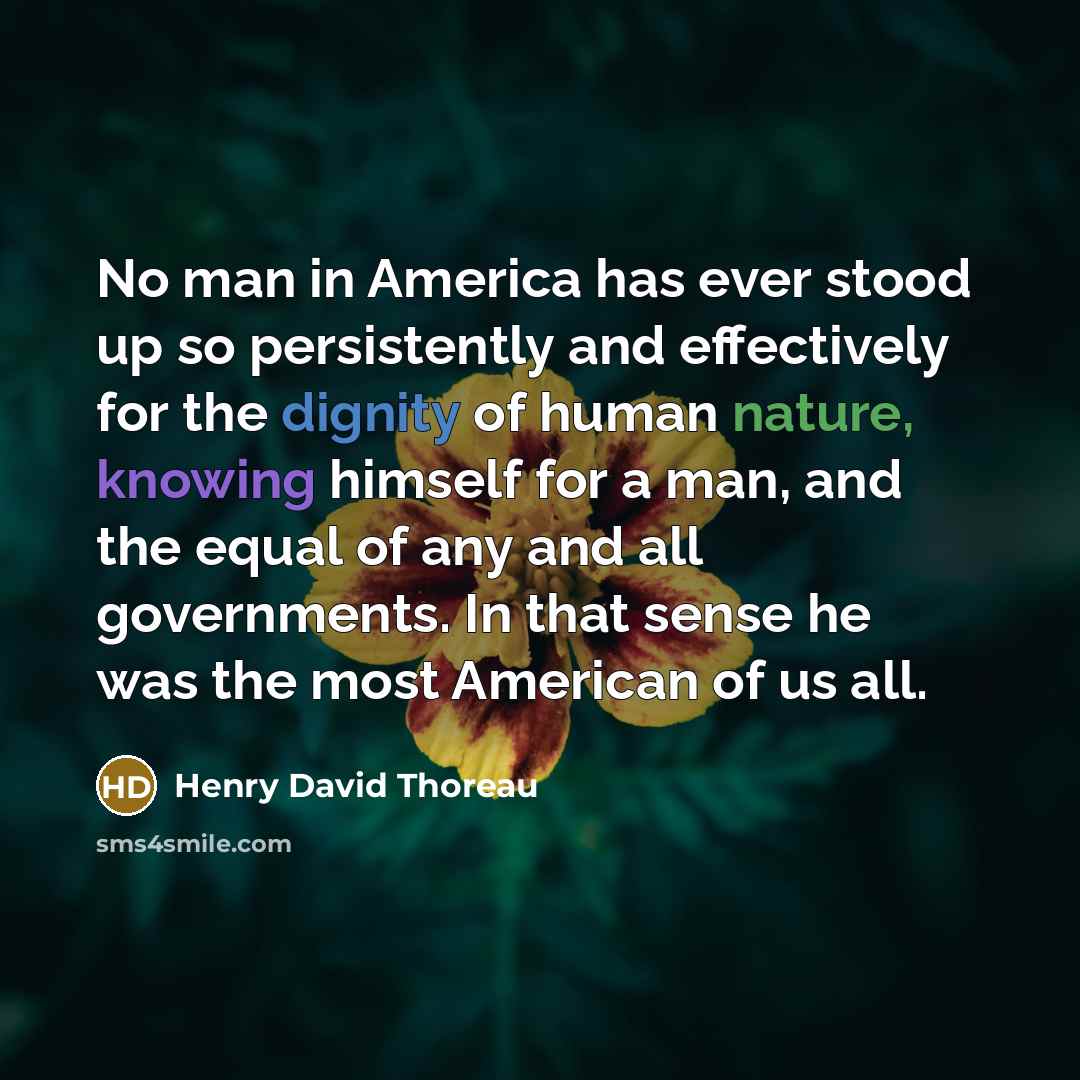 “No man in America has ever stood up so persistently…” quote by Henry David Thoreau