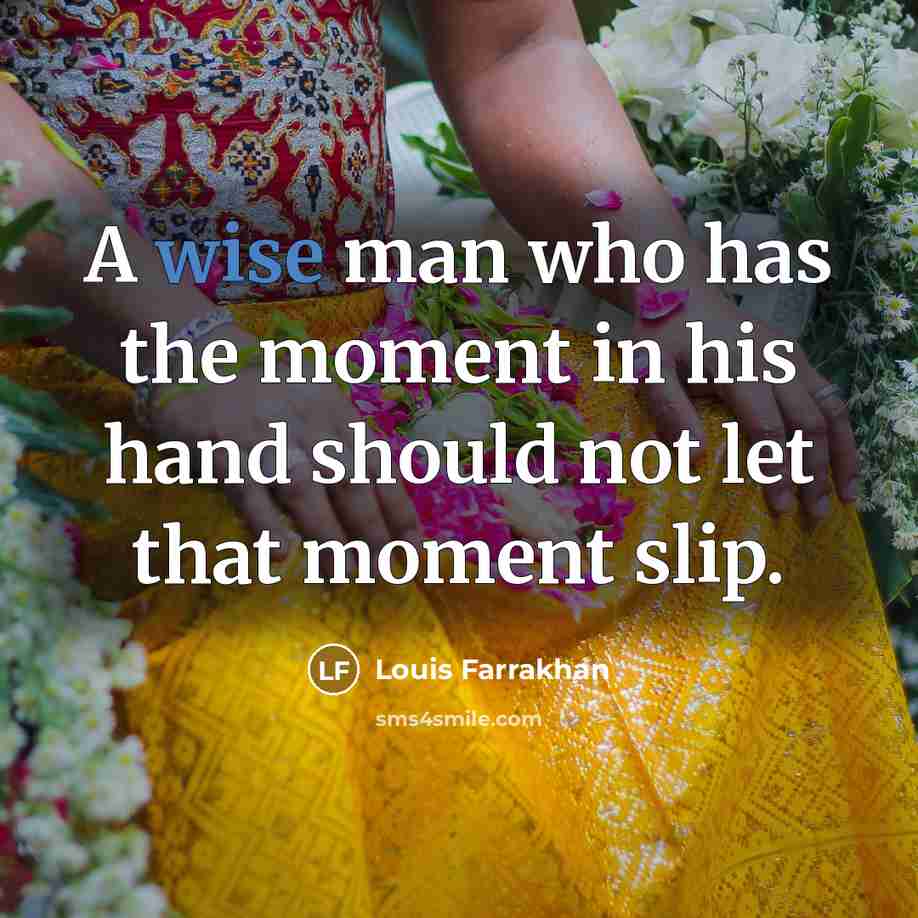 “A wise man who has the moment in his hand…” quote by Louis Farrakhan