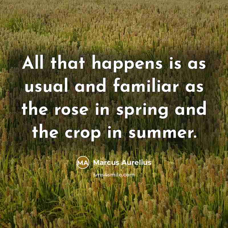“All that happens is as usual and familiar as the…” quote by Marcus Aurelius